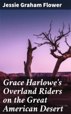 Grace Harlowe's Overland Riders on the Great American Desert - Jessie Graham Flower 