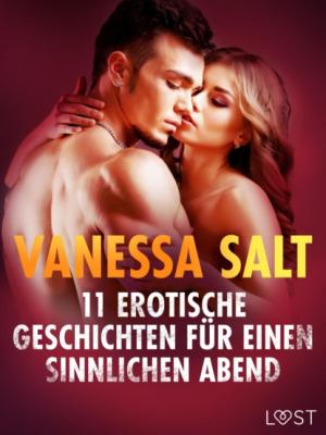 11 erotische Geschichten für einen sinnlichen Abend - Vanessa Salt 