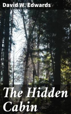 The Hidden Cabin - David W. Edwards 