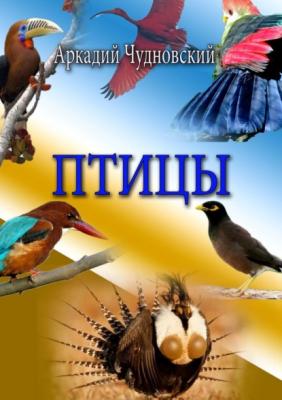 Птицы - Аркадий Чудновский 