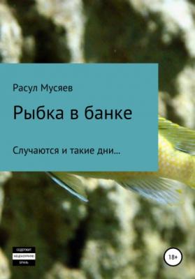 Рыбка в банке - Расул Камилевич Мусяев 