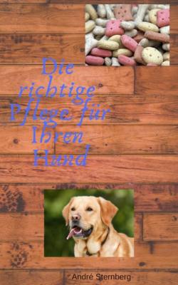 Die richtige Pflege für Ihren Hund - André Sternberg 