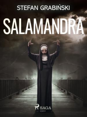 Salamandra - Stefan  Grabinski 
