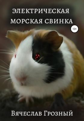 Электрическая морская свинка - Вячеслав Грозный 