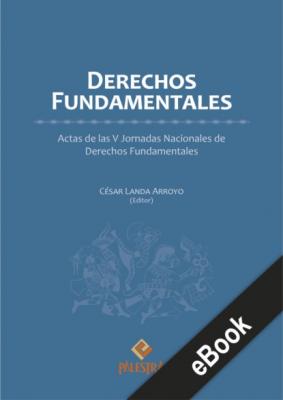 Derechos fundamentales - César Landa 