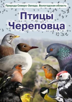 Птицы Череповца - Д. В. Кулаков Природа Северо-Запада. Вологодская область
