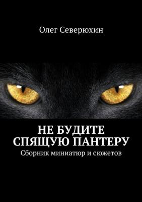 Не будите спящую пантеру - Олег Северюхин 