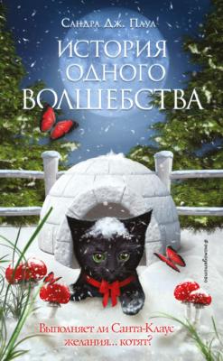 История одного волшебства - Сандра Дж. Паул Любознательный котенок и первое волшебство. Цветные книги для чтения