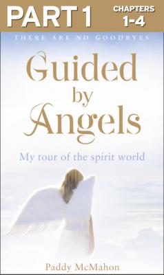 Guided By Angels: Part 1 of 3: There Are No Goodbyes, My Tour of the Spirit World - Paddy McMahon 