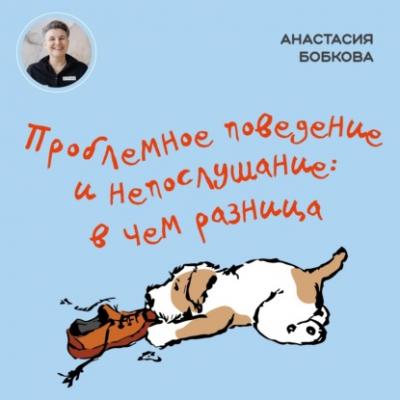 Проблемное поведение и непослушание: в чем разница - Анастасия Бобкова Я привез домой собаку
