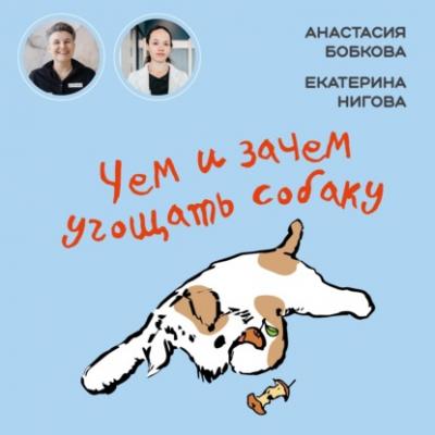 Чем и зачем угощать собаку - Анастасия Бобкова Я привез домой собаку