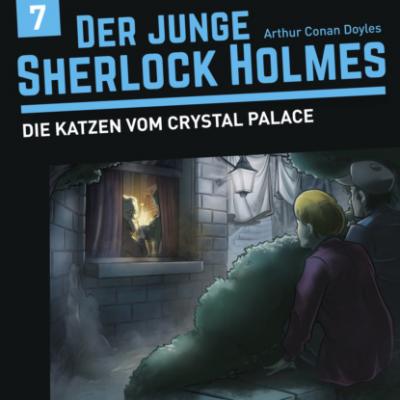 Der junge Sherlock Holmes, Folge 7: Die Katzen vom Crystal Palace - David Bredel 
