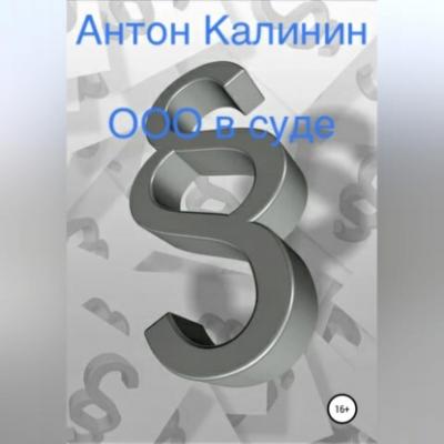ООО в суде - Антон Олегович Калинин 