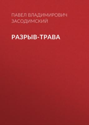 Разрыв-трава - Павел Владимирович Засодимский 