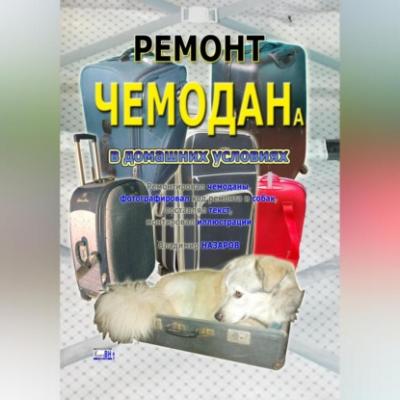Ремонт чемодана в домашних условиях - Владимир Владимирович Назаров 