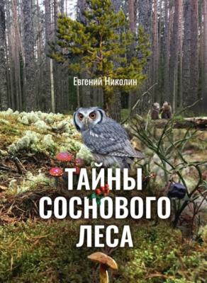 Тайны соснового леса - Е. Г. Николин 