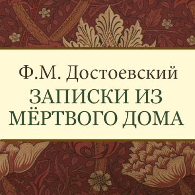 Записки из мертвого дома - Федор Михайлович Достоевский 