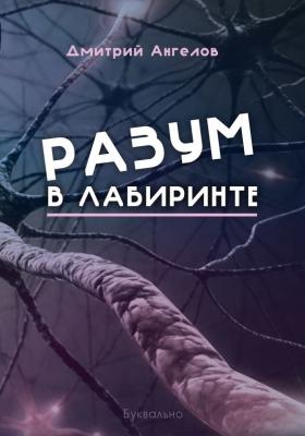 Разум в лабиринте - Дмитрий Ангелов 