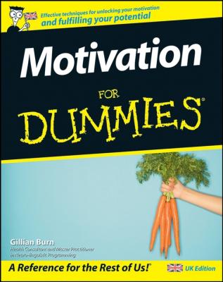 Motivation For Dummies - Gillian  Burn 