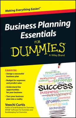 Business Planning Essentials For Dummies - Veechi  Curtis 