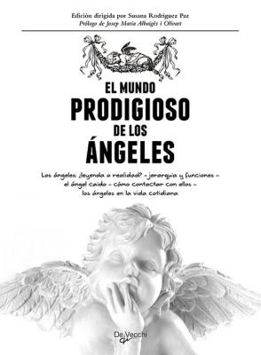 El mundo prodigioso de los ángeles - Susana Rodriguez 