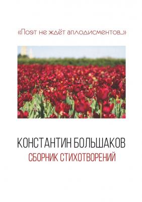 Поэт не ждёт аплодисментов… Сборник стихотворений - Константин Большаков 