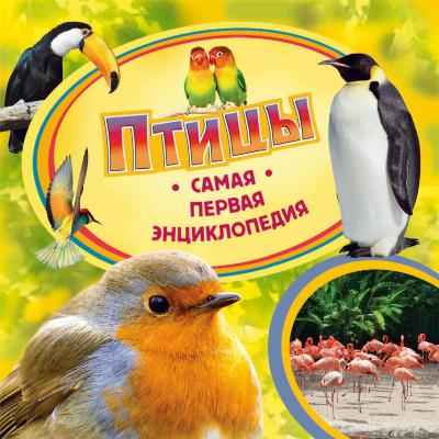 Птицы - Ирина Травина Самая первая энциклопедия