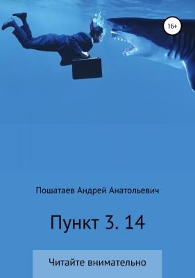 Пункт 3. 14 - Андрей Анатольевич Пошатаев 