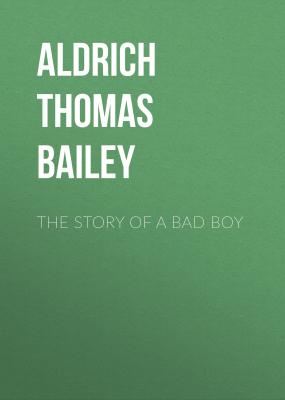 The Story of a Bad Boy - Aldrich Thomas Bailey 