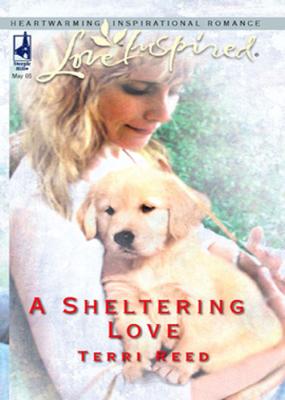 A Sheltering Love - Terri  Reed 