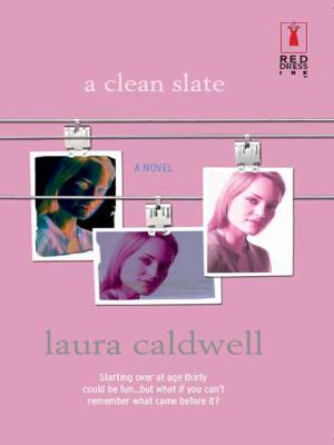 A Clean Slate - Laura  Caldwell 
