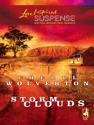 Storm Clouds - Cheryl  Wolverton 
