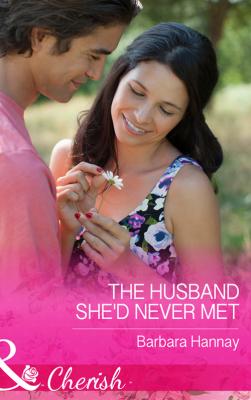 The Husband She'd Never Met - Barbara Hannay 
