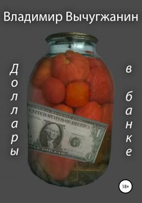 Доллары в банке - Владимир Михайлович Вычугжанин 