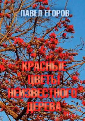 Красные цветы неизвестного дерева - Павел Егоров 