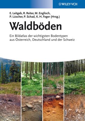 Waldböden. Ein Bildatlas der Wichtigsten Bodentypen aus Österreich, Deutschland und der Schweiz - Peter  Schad 