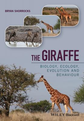 The Giraffe. Biology, Ecology, Evolution and Behaviour - Bryan  Shorrocks 