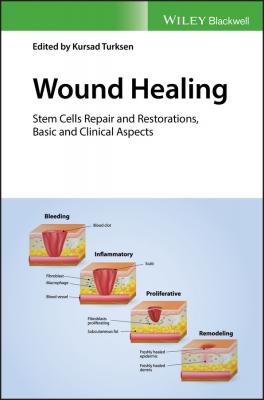 Wound Healing. Stem Cells Repair and Restorations, Basic and Clinical Aspects - Kursad  Turksen 