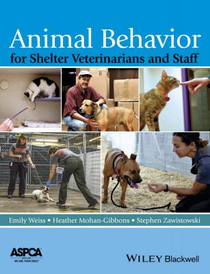 Animal Behavior for Shelter Veterinarians and Staff - Stephen  Zawistowski 