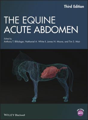 The Equine Acute Abdomen - James N. Moore 