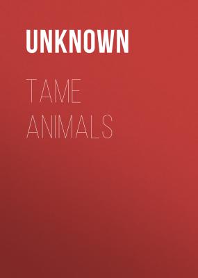 Tame Animals - Unknown 