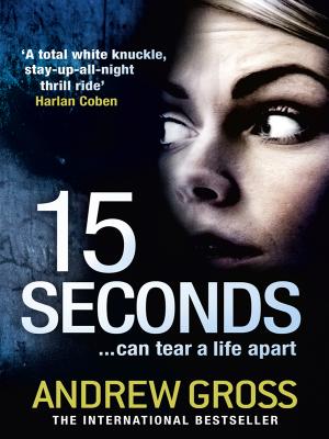 15 Seconds - Andrew  Gross 