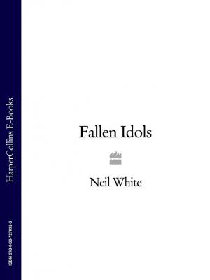 FALLEN IDOLS - Neil  White 