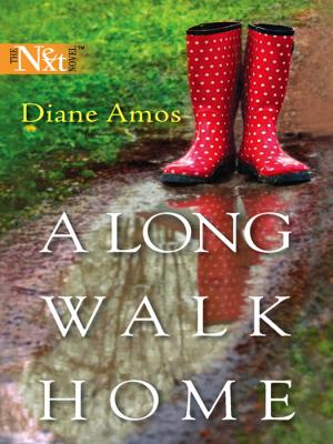 A Long Walk Home - Diane  Amos Mills & Boon Silhouette
