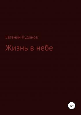 Жизнь в небе - Евгений Кудинов Кудинов 