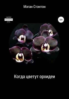 Когда цветут орхидеи - Мэган Стентон 
