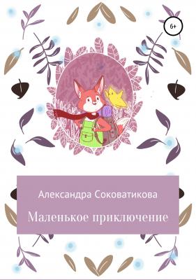 Маленькое приключение - Александра Соковатикова 