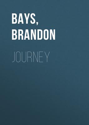 Journey - Brandon Bays 