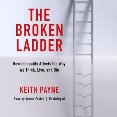 Broken Ladder - Keith  Payne 