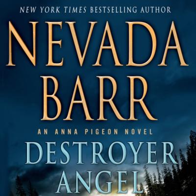 Destroyer Angel - Nevada  Barr Anna Pigeon Mysteries